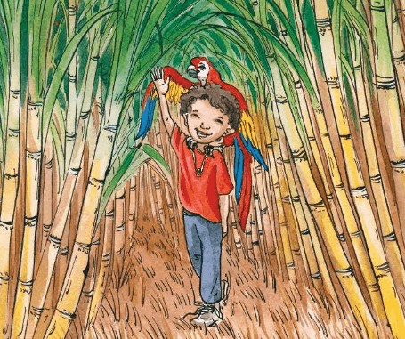 Dudu Zuckerrohr, Illustration: Raquel Echenique